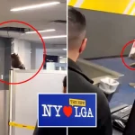 Енот, буквально спустившийся с потолка в аэропорту LaGuardia, вызвал панику среди сотрудников и пассажиров