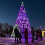 Этой зимой Holiday Magic вновь возвращается в Brookfield Zoo Chicago