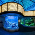 Shedd Aquarium открывает новую выставку Wonder of Water, заменившую 53-летнюю экспозицию