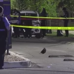 Пятеро вооружённых нападавших застрелили мужчину в районе Near West Side в Чикаго